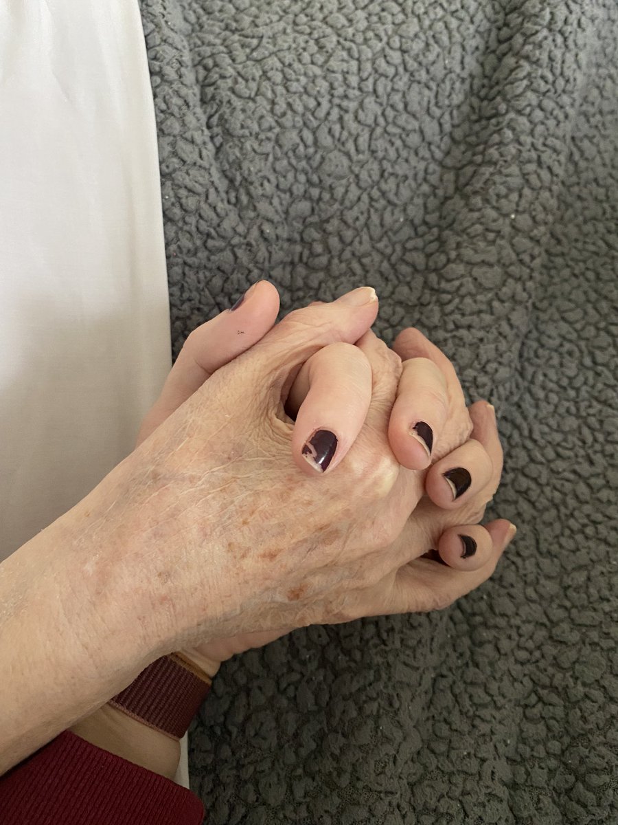 OfficalCatCooper tweet media