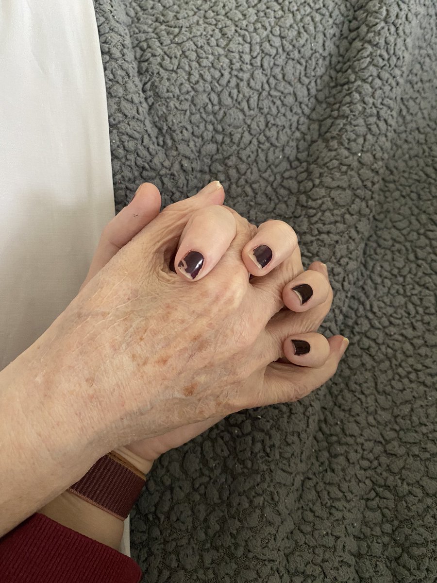 OfficalCatCooper tweet media