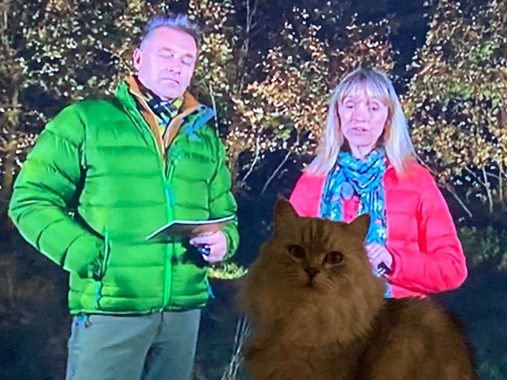Silver_Puss's tweet photo. #CatsOfTwitter As #Autumnwatch is my favourite programme, what with all the birdies, squirrelmonsters and spiders, I'm thinking they need an extra new presenter. I've done my screen test, but Chris looks unimpressed. https://t.co/Haq1z3c2rJ