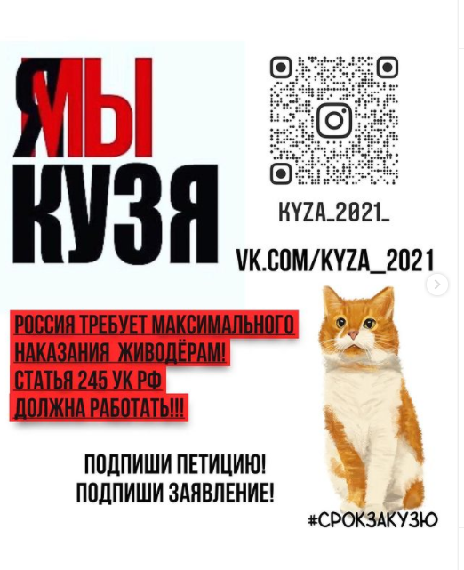 Кота Кузю до смерти замучили живодёры, при этом снимая издевательства на видео. 
Мы не можем вернуть Кузю, но можем добиться максимального наказания для преступников по закону.
Подпишите, пожалуйста, петицию: chng.it/fLSGdDDLw2
