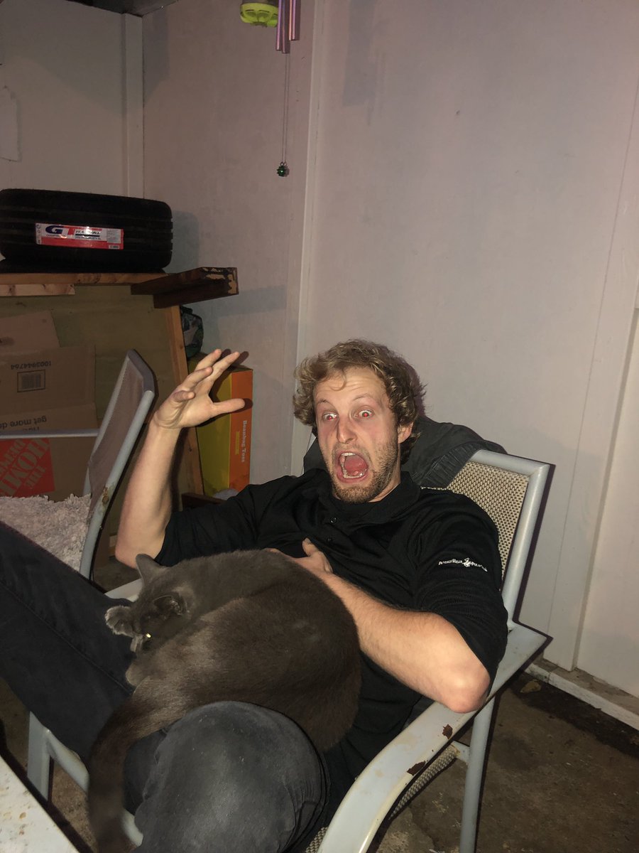 brokeescalators's tweet photo. Big cat sequis https://t.co/tw0hiFizIe