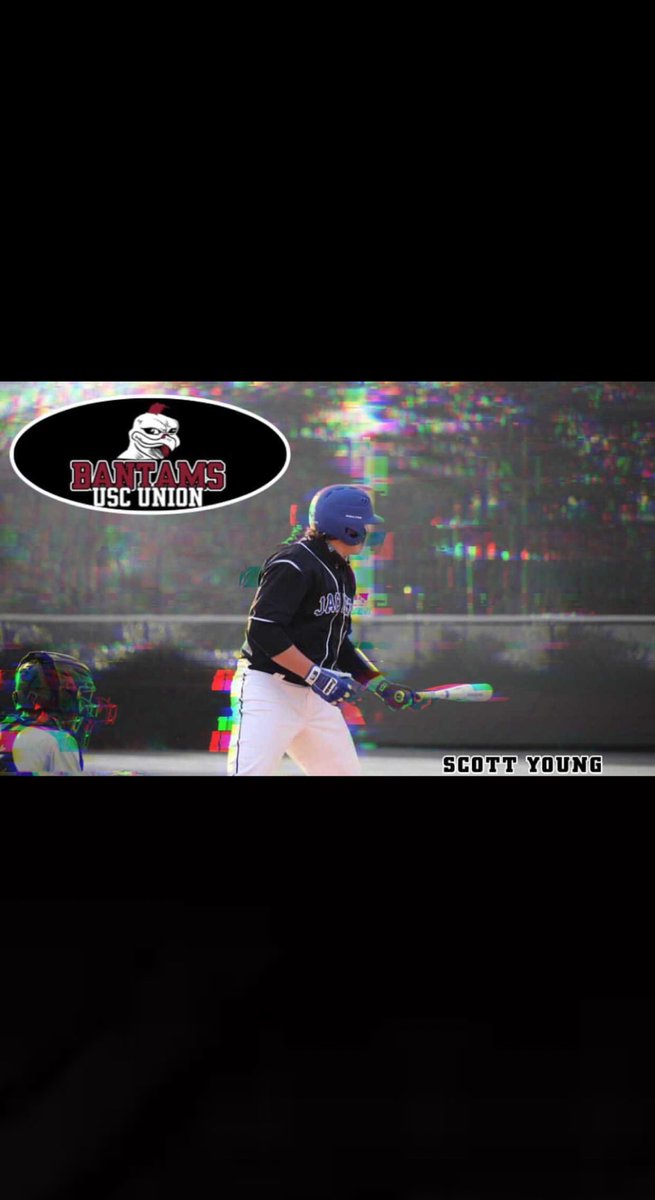 Scott Young tweet media