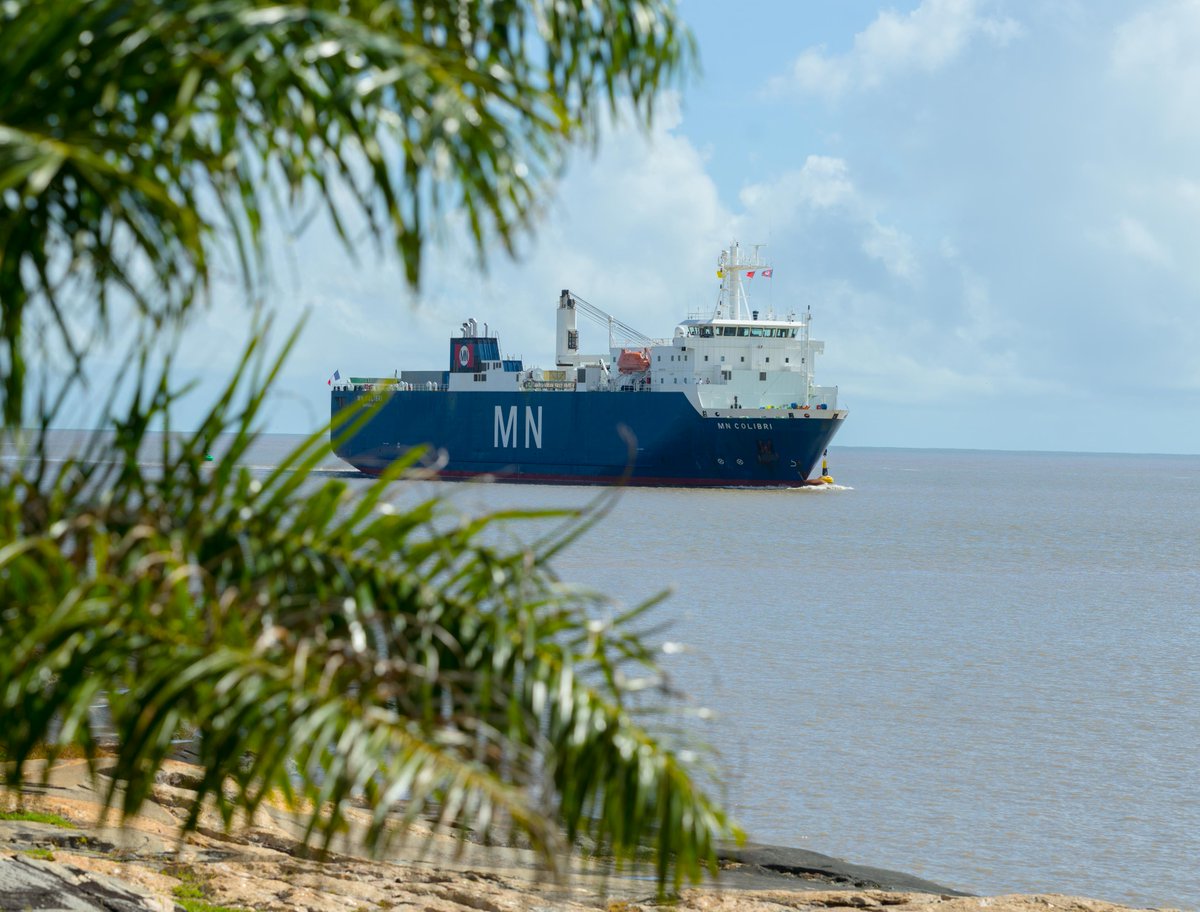 The MN Colibri vessel (which carried the Webb Telescope) on its way to the port near Webb's launch site. The ship is framed by palm trees in the foreground.