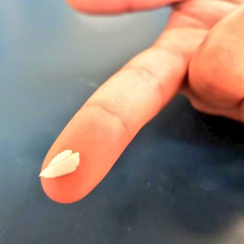 otolithgirl's tweet photo. It's all about maintaining/restoring #diversity for salmon at the edge of the species range. Without these high elevation escape routes for baby #salmon to oversummer in during #drought we might have lost these populations.

#ClimateChange @Floracordo @CAfishdiaries @hydrophillis https://t.co/MueHyY7j3U