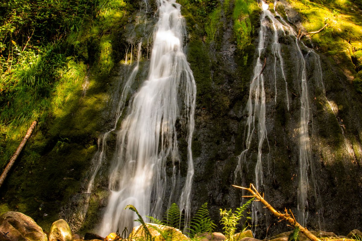 Regis CHUPIN (@chupinregis) on Twitter photo 