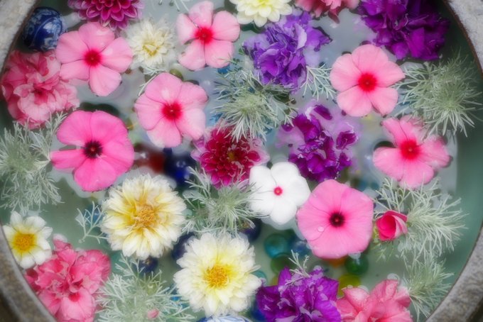 花手水weekのtwitterイラスト検索結果