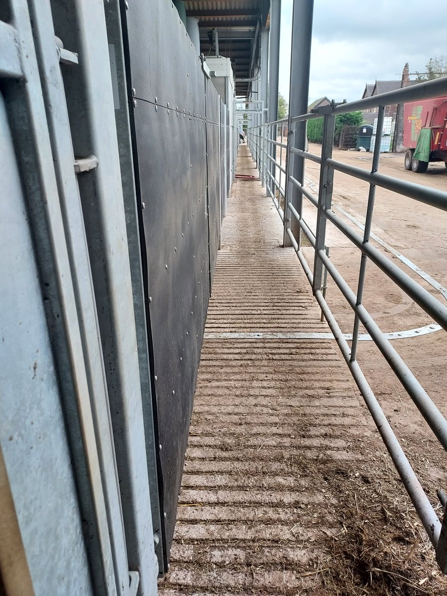 katiesummerfie2's tweet photo. Today after years of being TB free, it's caught us up again,  a drycow has tested positive, absolutely gutted. Not saying for sympathy, just sharing a day we'd rather wish had a better outcone☹😢 #thisisfarming https://t.co/OYjFvYe8qv