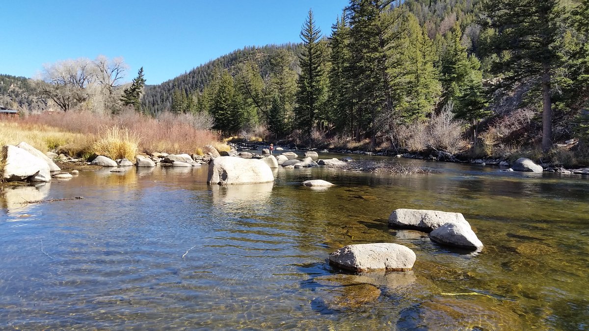 WilderColorado's tweet photo. River to table...

#colorado #flyfishing #troutdinner https://t.co/vKNjO8pUoh
