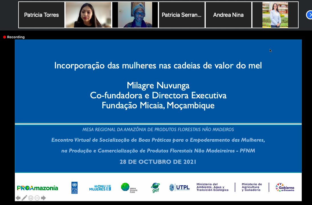 onumujeresEcu's tweet photo. La Mesa Regional Amazónica de Productos Forestales No Maderables de @PROAmazoniaEC realiza la socialización de buenas prácticas con enfoque de género en proyectos de Ecuador, Perú, México y Mozambique.
#SomosMujeresAmazónicas
@Ambiente_Ec @AgriculturaEc @utpl https://t.co/1wmvtNQTPE
