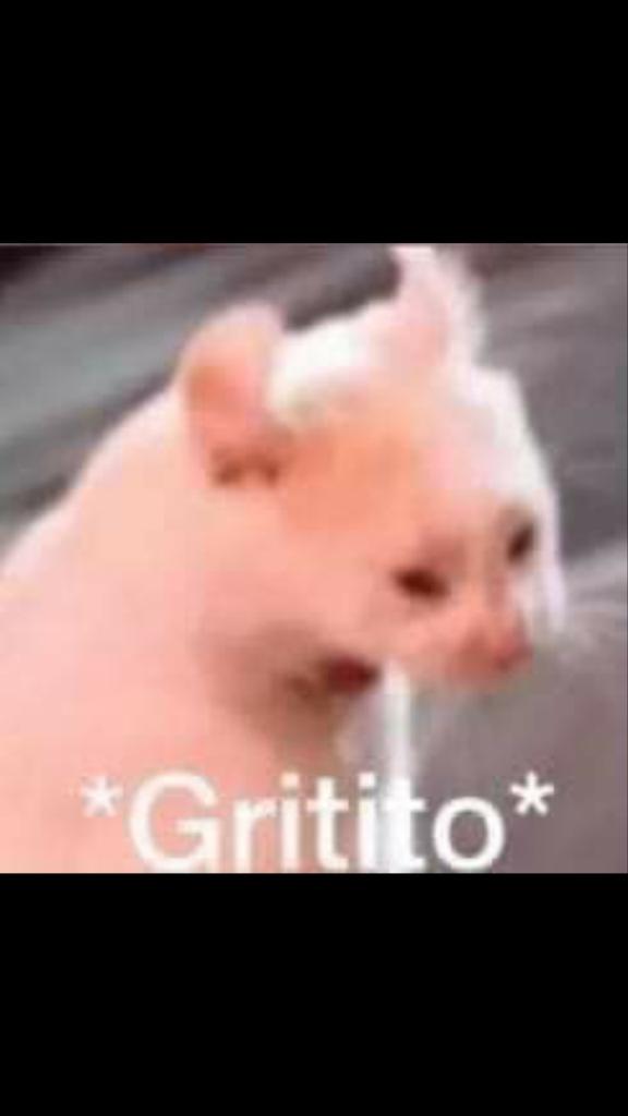 MerabValeria's tweet photo. @KarenMataGzzx Yo cada que miro que Karen va a actualizar DwtD de nuevo y yo aún no lo tengo https://t.co/O7dryxHBlS