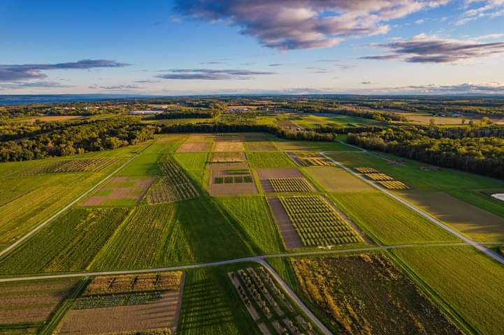 CornellAgriTech's tweet photo. The rolling farm land, excellent soils and microclimate of Geneva, NY make Cornell AgriTech a perfect location for world renowned agricultural research. These bird’s eye views capture the beauty and expanse of our campus and research fields. https://t.co/o4CbAx6FNn