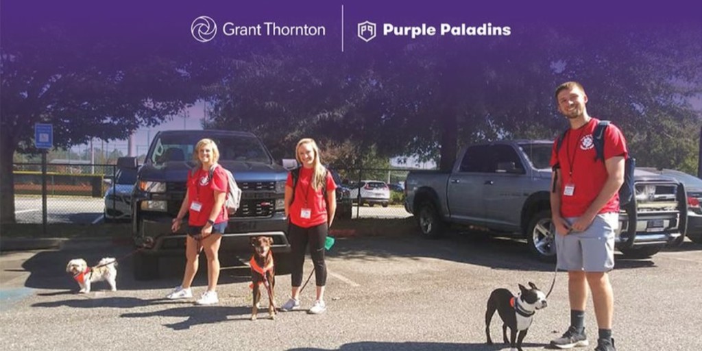 GrantThorntonUS's tweet photo. Our Go Team heroes are ready for Day 1. All Go Team #dogs complete a two-day intensive training, covering a breadth of scenarios & skills – this is why Go Team dogs & handlers stand out. Follow the weekly journey here. Learn more. https://t.co/SNoIpF93vp
#GoTeamGT #Nonprofit https://t.co/4BPj7VxvNi