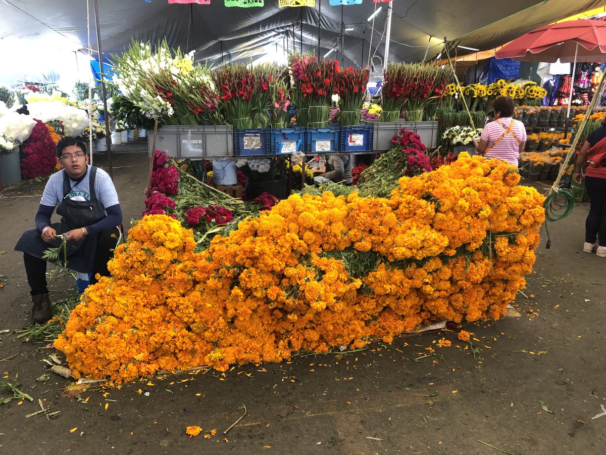 It’s hard not to miss Mexico this time of year.