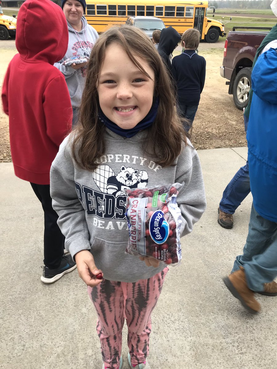 Miss Bass' Class tweet media