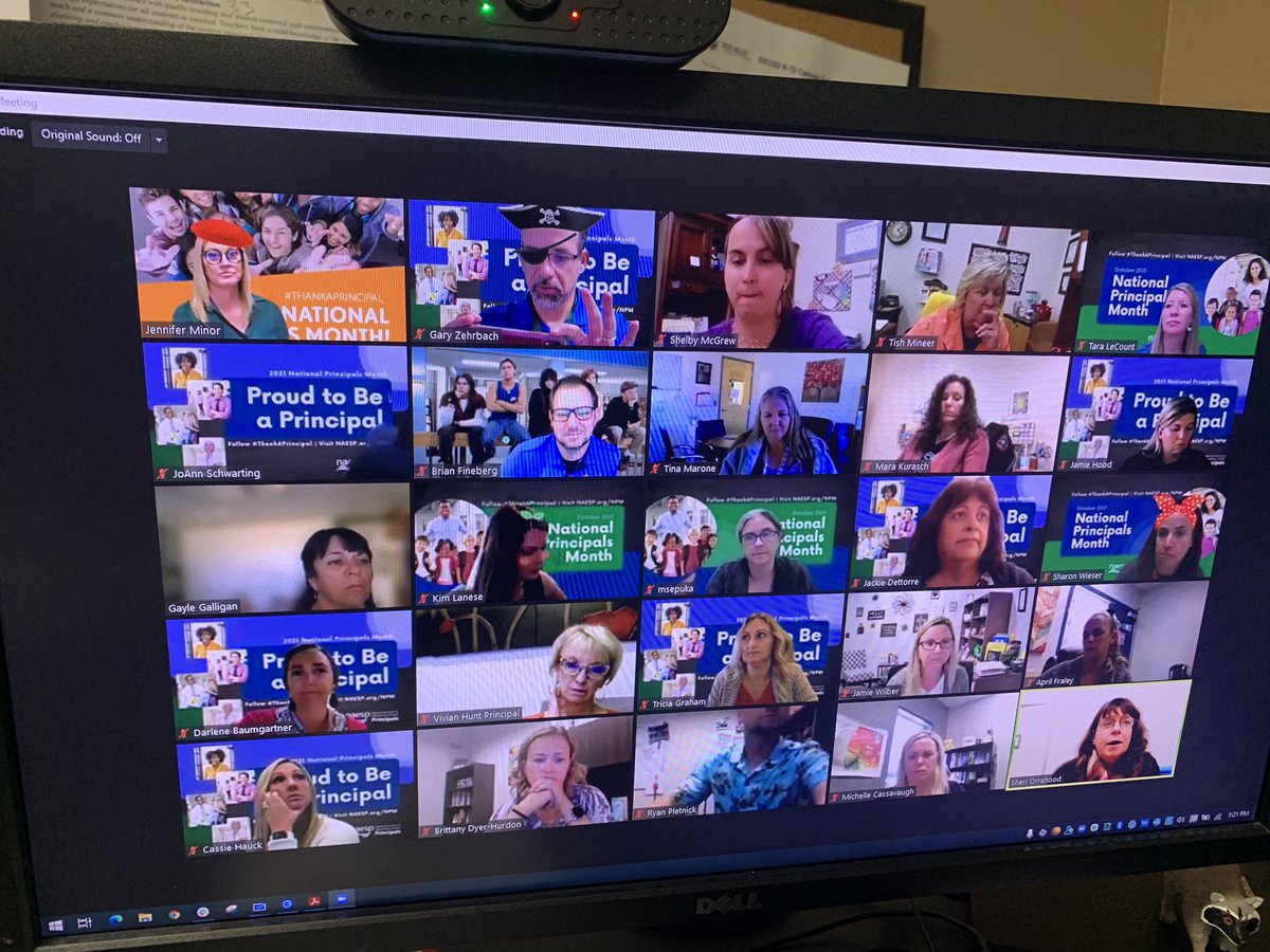 AdminLeadServe's tweet photo. Jen Minor is facilitating K-6/K-8 Level Meetings today! Had a guest speaker talk about strategies for building resiliency! Principals discussed in breakout session the Jan 3rd PD along with other important topics as well! @DVUSD #thankaprincipal #principalcollaboration https://t.co/JiMt1NCAXA