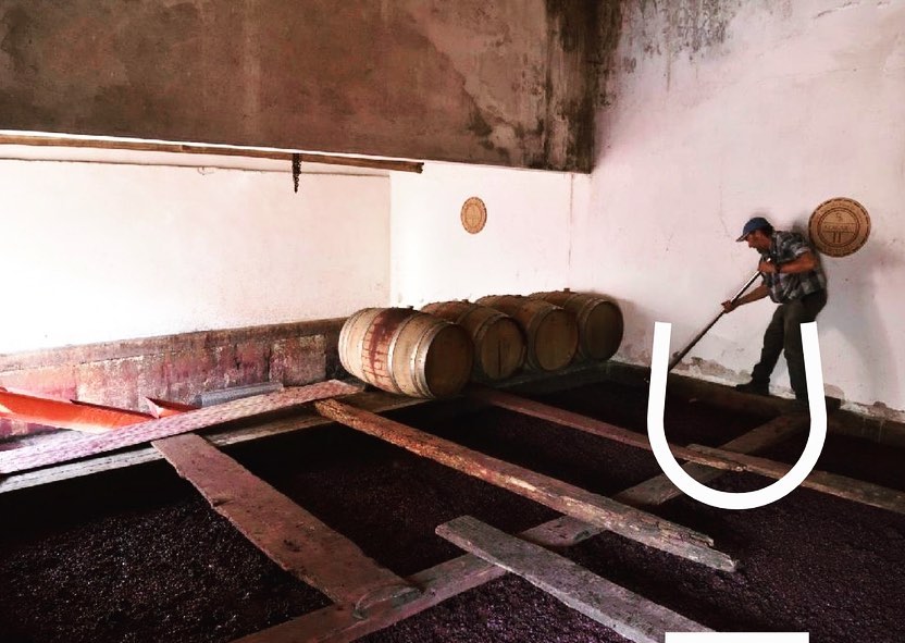 wine_alle's tweet photo. At @casa_horacio_simoes in Palmela, all vinification is carried out in wineries using merely traditional and artisanal processes. Founded in 1910, by José Carvalho Simões, it is a secular house in the region's wine sector

#winetourism  #winelover #winescape #partnership https://t.co/5IXPpobsgC