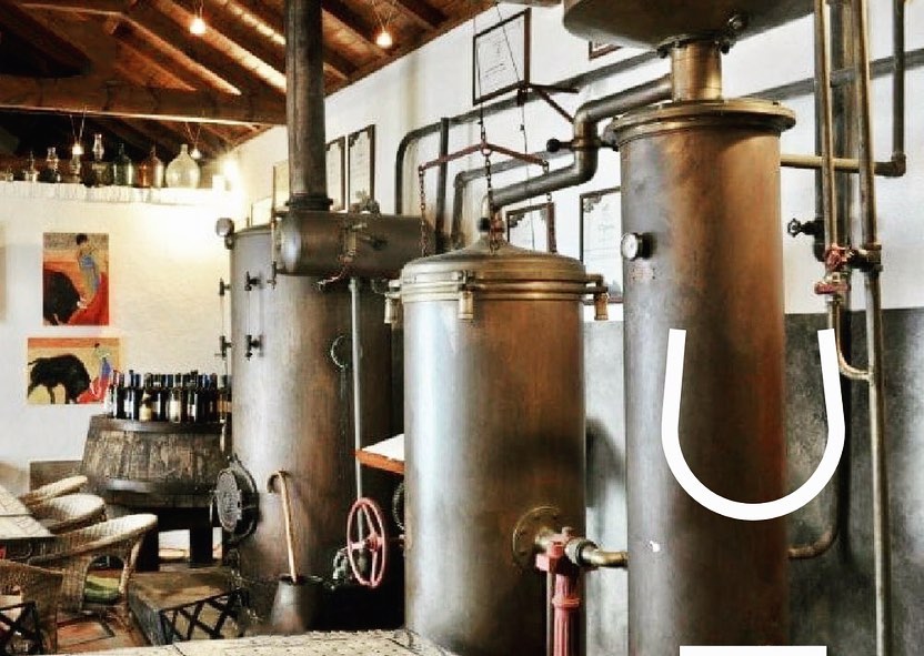 wine_alle's tweet photo. At @casa_horacio_simoes in Palmela, all vinification is carried out in wineries using merely traditional and artisanal processes. Founded in 1910, by José Carvalho Simões, it is a secular house in the region's wine sector

#winetourism  #winelover #winescape #partnership https://t.co/5IXPpobsgC