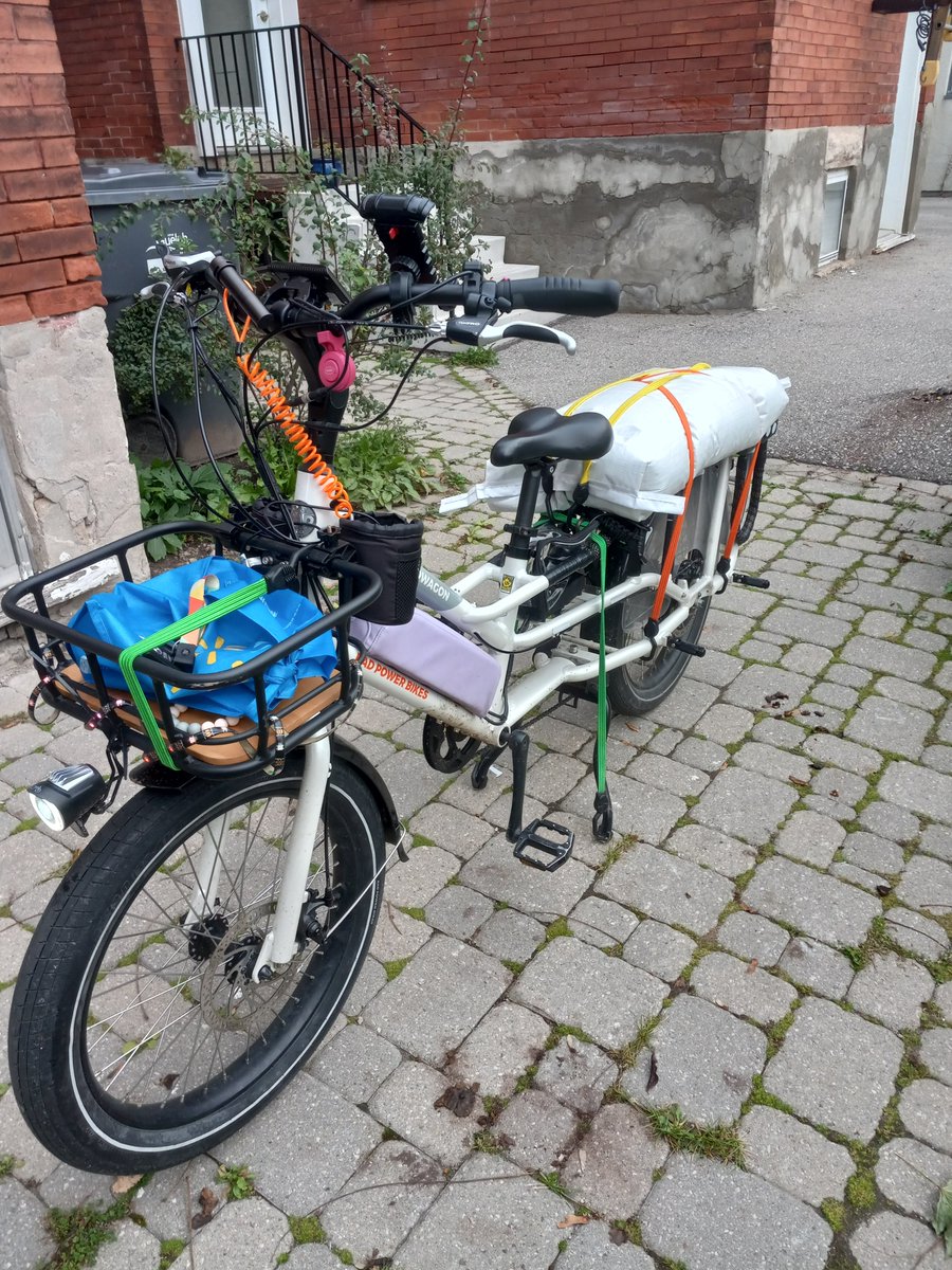 Andreabigfoot's tweet image. 2hr trip to the feed store and back! 25Kg of feed should last my quails their entire lives. #radwagon4