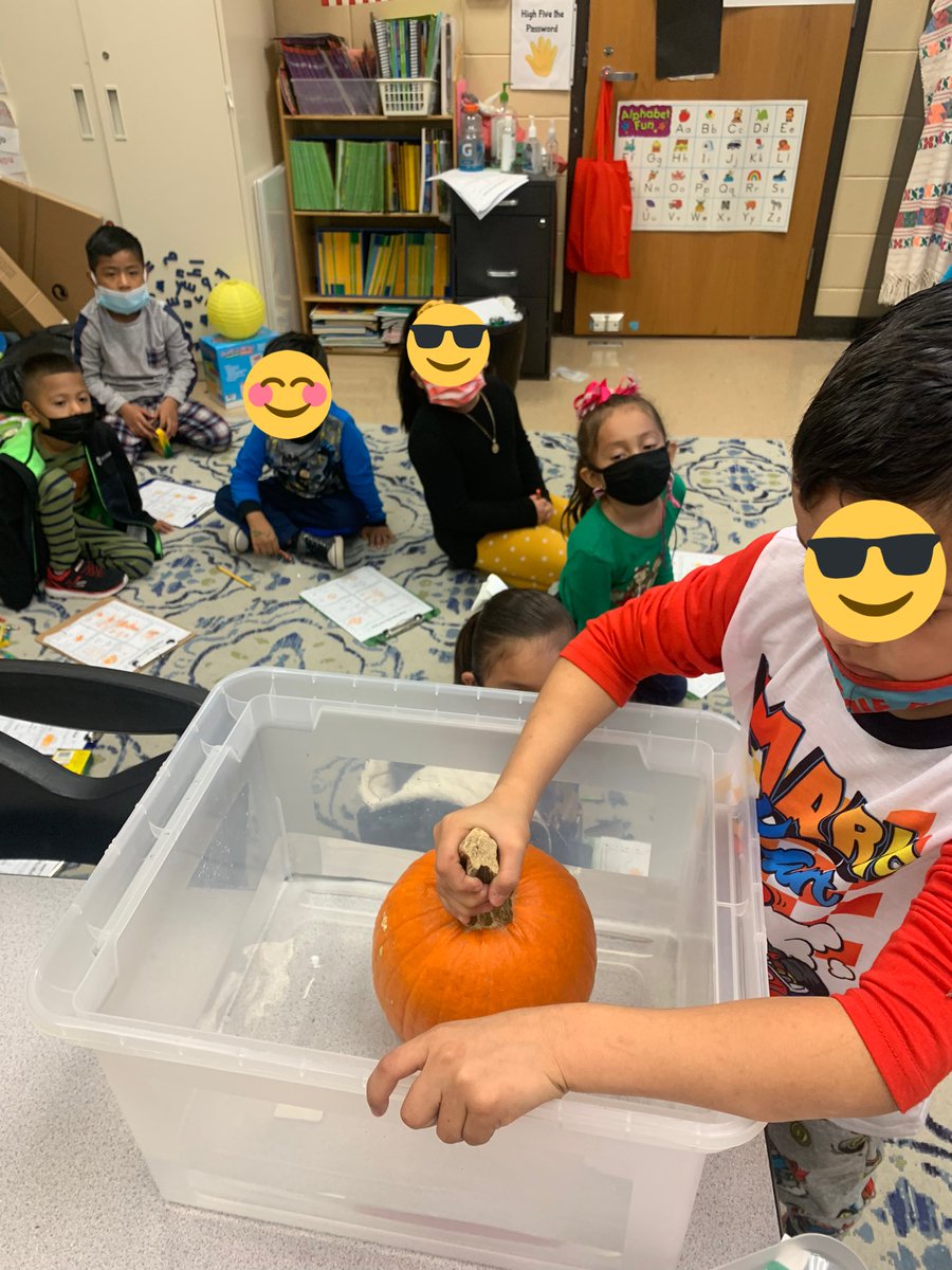 mrscastilloESL's tweet photo. What a fun day of exploring pumpkins! My kindergartens were amazed that pumpkins floated on water. Developing language for my multilingual learners🤓 @FultondaleElem @jefcoedESL https://t.co/gbQQkXvn4L