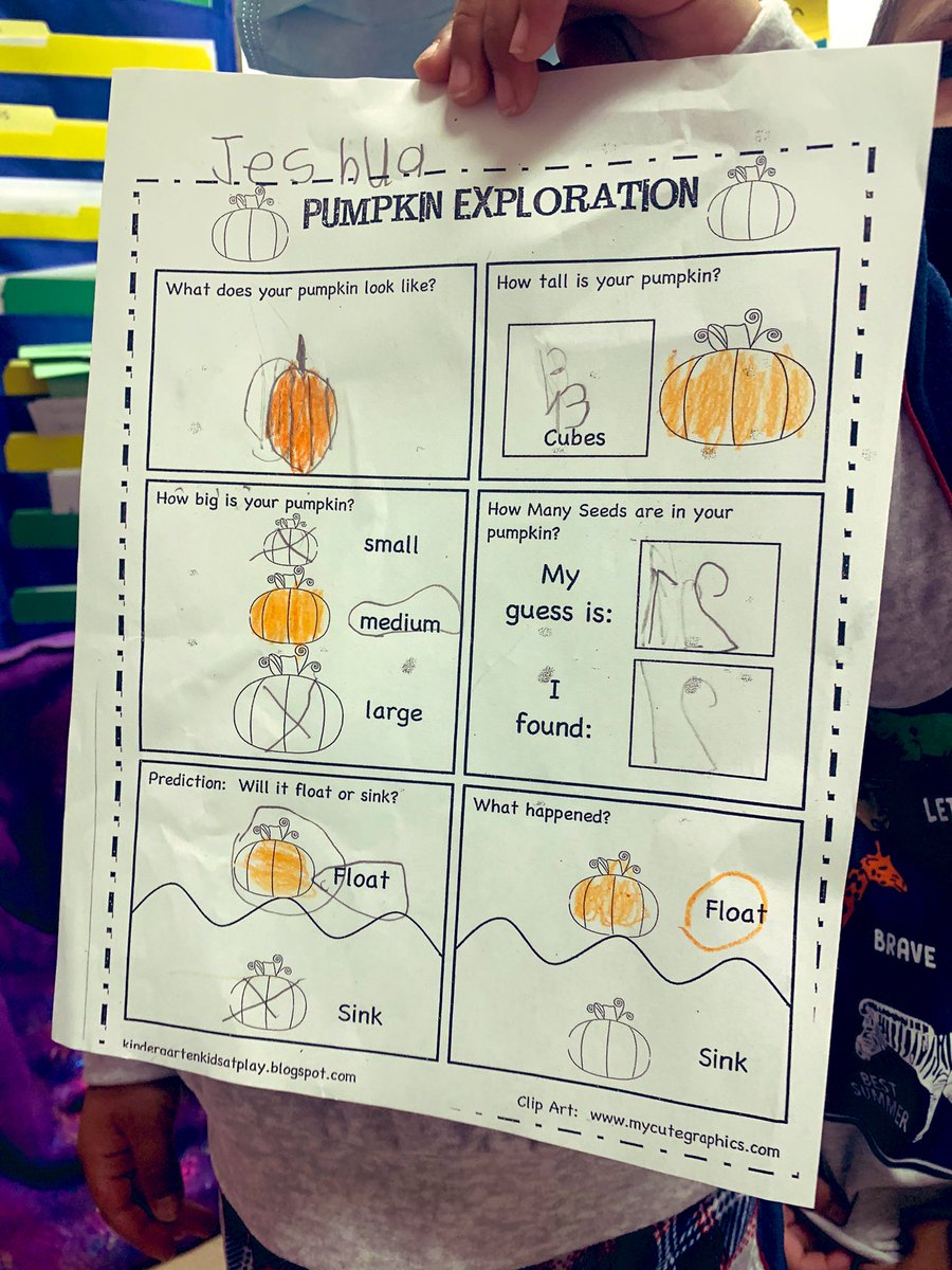 mrscastilloESL's tweet photo. What a fun day of exploring pumpkins! My kindergartens were amazed that pumpkins floated on water. Developing language for my multilingual learners🤓 @FultondaleElem @jefcoedESL https://t.co/gbQQkXvn4L