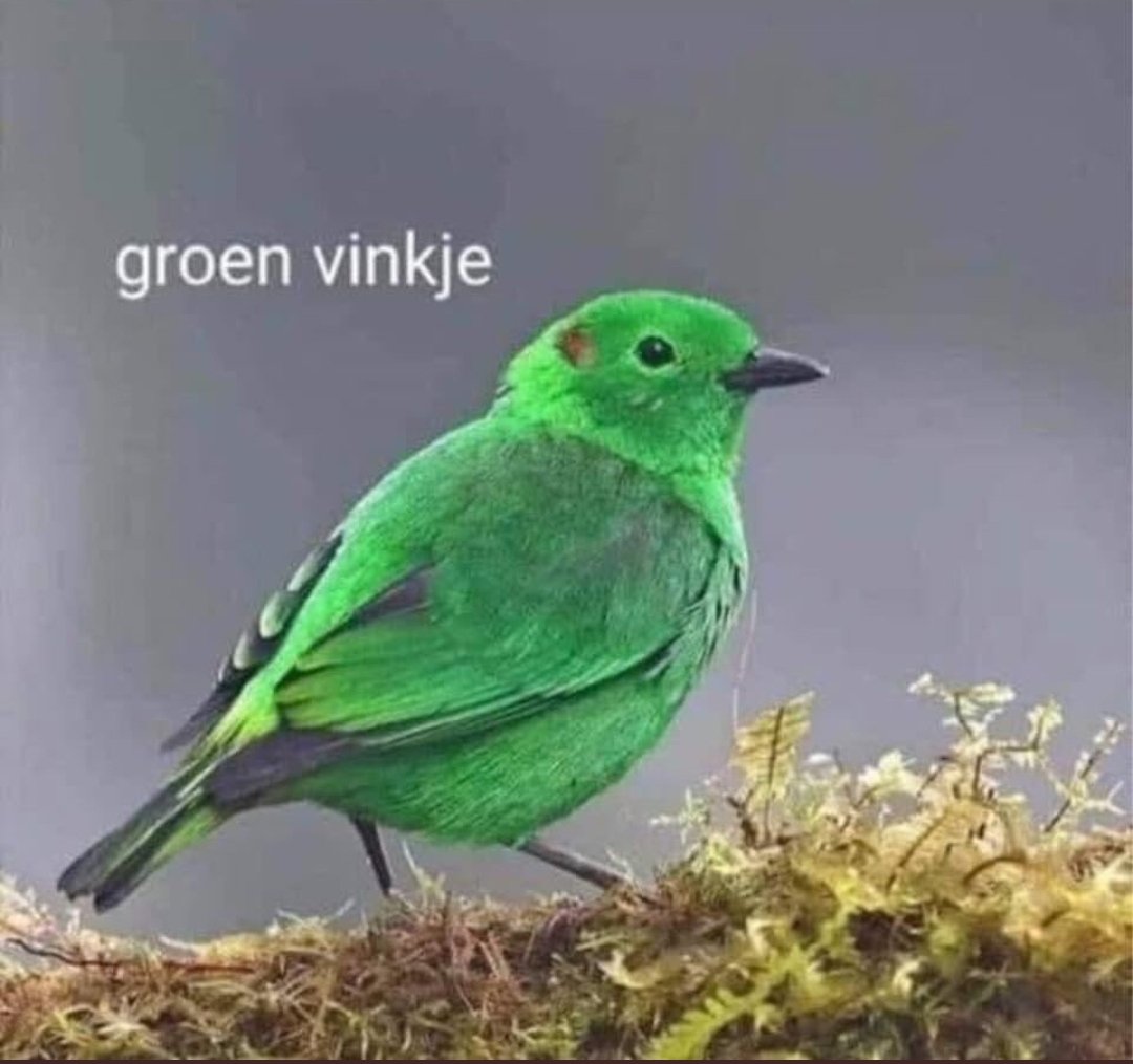Tvt bewijs gisteren verlopen
Hopelijk vliegt deze niet weg