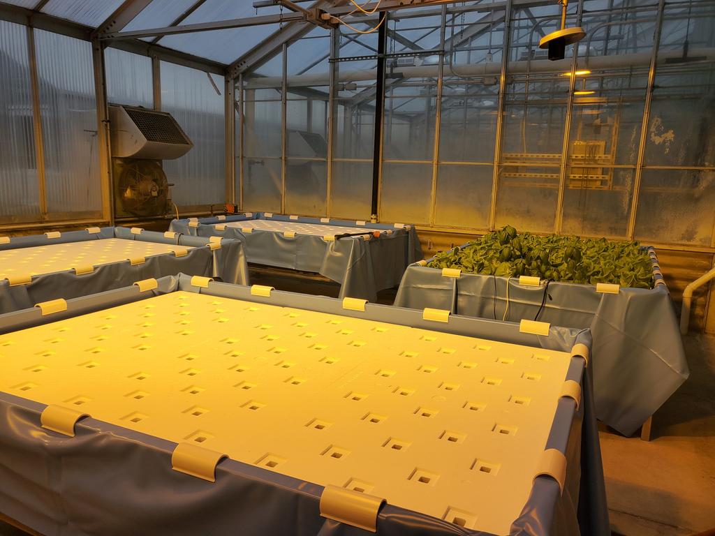 Custom made deep flow systems by CropKing are now up and running. Now the fun begins. #cropking #freshproducesafety