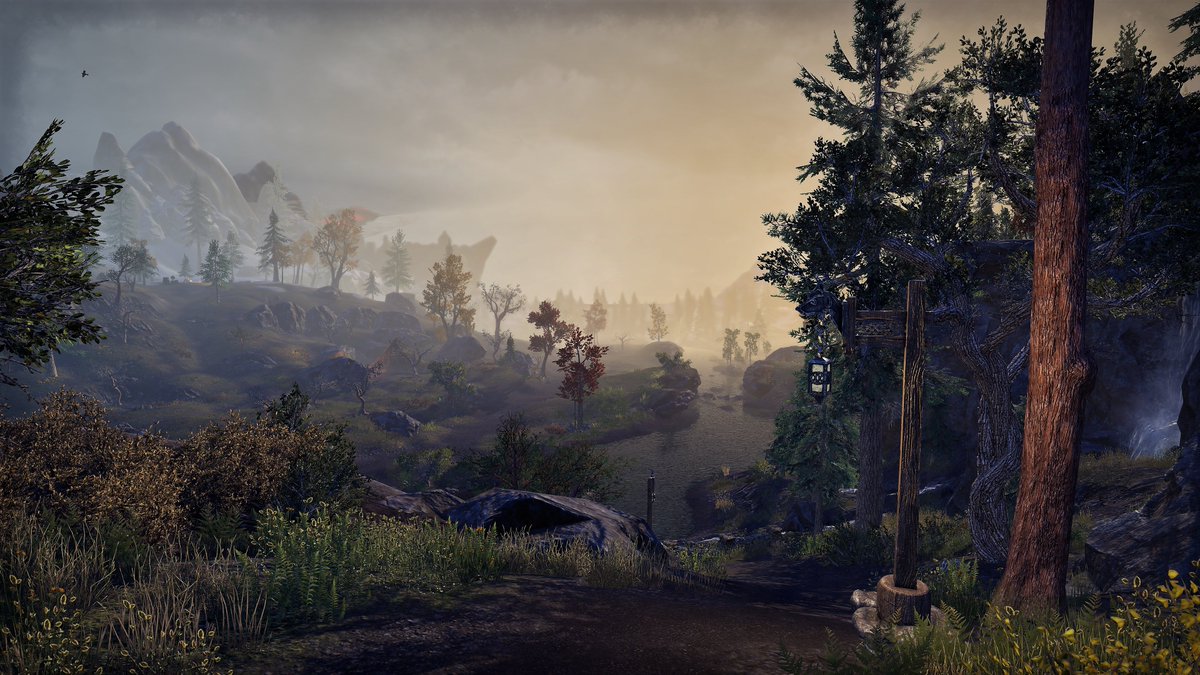 mireuix's tweet photo. Stepping out of the Antiquarian's Alpine Gallery and into a misty morning in Western Skyrim. I can smell the air. #ESO https://t.co/uxxafGFdE4