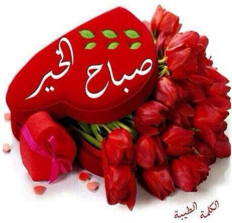 ﷽Ⓜ️
❥استغفر الله
﷽♥️
❥استغفر الله
﷽♥️      ❥استغفر الله
﷽♥️       ❥استغفر الله
﷽♥️      ❥استغفر الله
﷽♥️ 
 ❥استغفر الله
﷽Ⓜ️
❥استغفر الله

#اللهم_صل_وسلم_على_نبينا_محمد

<a href="/rrjjil/">★ 𝓜𝓞𝓗𝓐𝓝𝓐𝓓★ مهند🟥</a>    <a href="/rrjjil2/">★ 𝓜𝓞𝓗𝓐𝓝𝓐𝓓★</a>