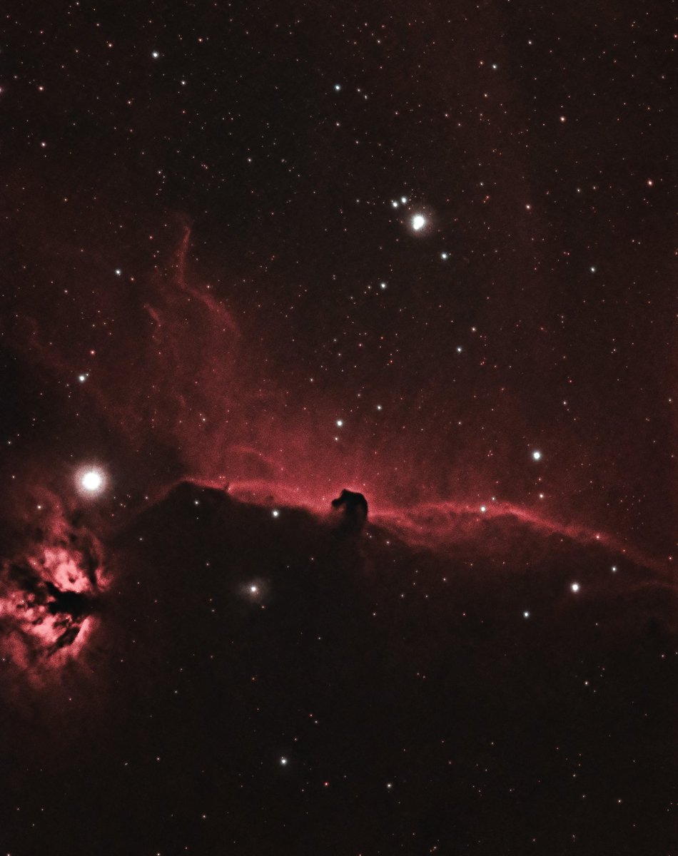 AstroCarone's tweet photo. I hope you enjoy this photo of the Horse Head Nebula!

This is 16 x 5 min of data captured under bortle 8 skies, with the L-eXtreme filter!

I love this target so much.

🔭: Zenithstar 61II APO
📸: ZWO 183MC Pro
#astrophotography #space https://t.co/jixWvAdbmE