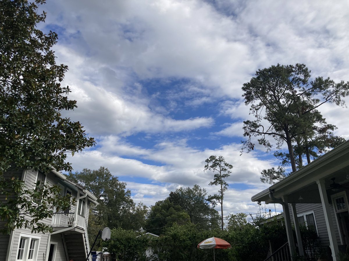 lecorgne's tweet photo. @MargaretOrr Beautiful day in Covington!! #thursdayafternoon #covington #nola https://t.co/omFPwYKRJW