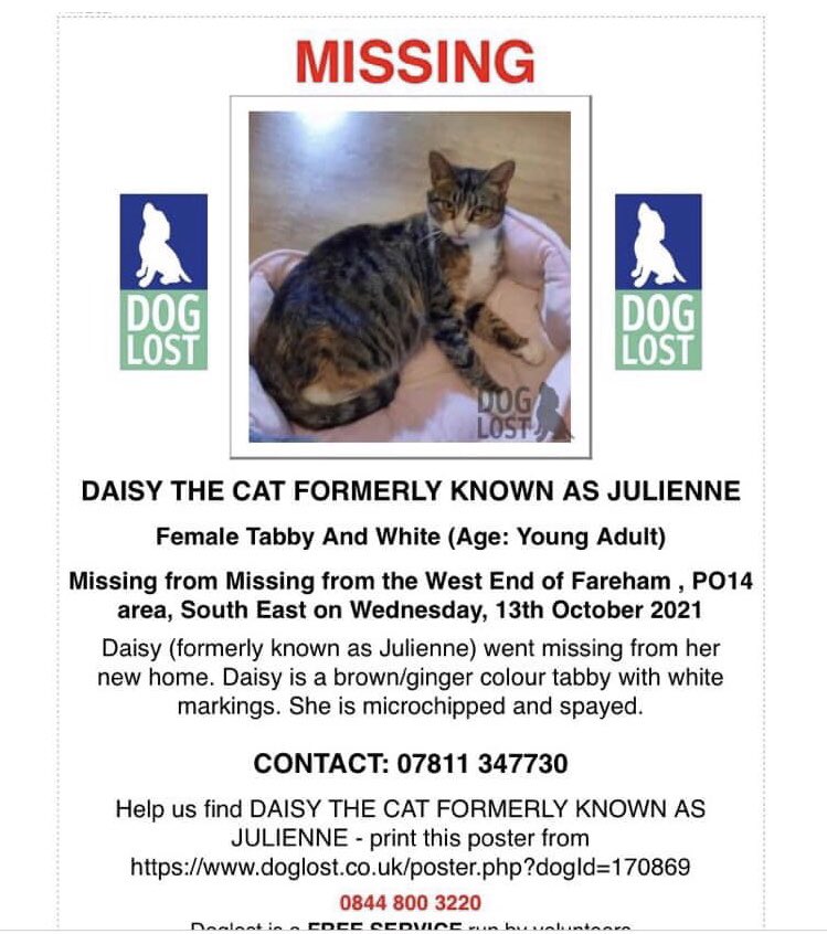 KarenFi51820768's tweet photo. #FindDaisy #Cat Daisy (formerly known as Julienne) went missing from her new home in #Fareham, #Hampshire PO14 on 13/10/21. Daisy is a brown/ginger coloured tabby with white markings. She is microchipped and spayed.#RT please Group link https://t.co/vmtLzvzoRA https://t.co/SomiS8iV5x