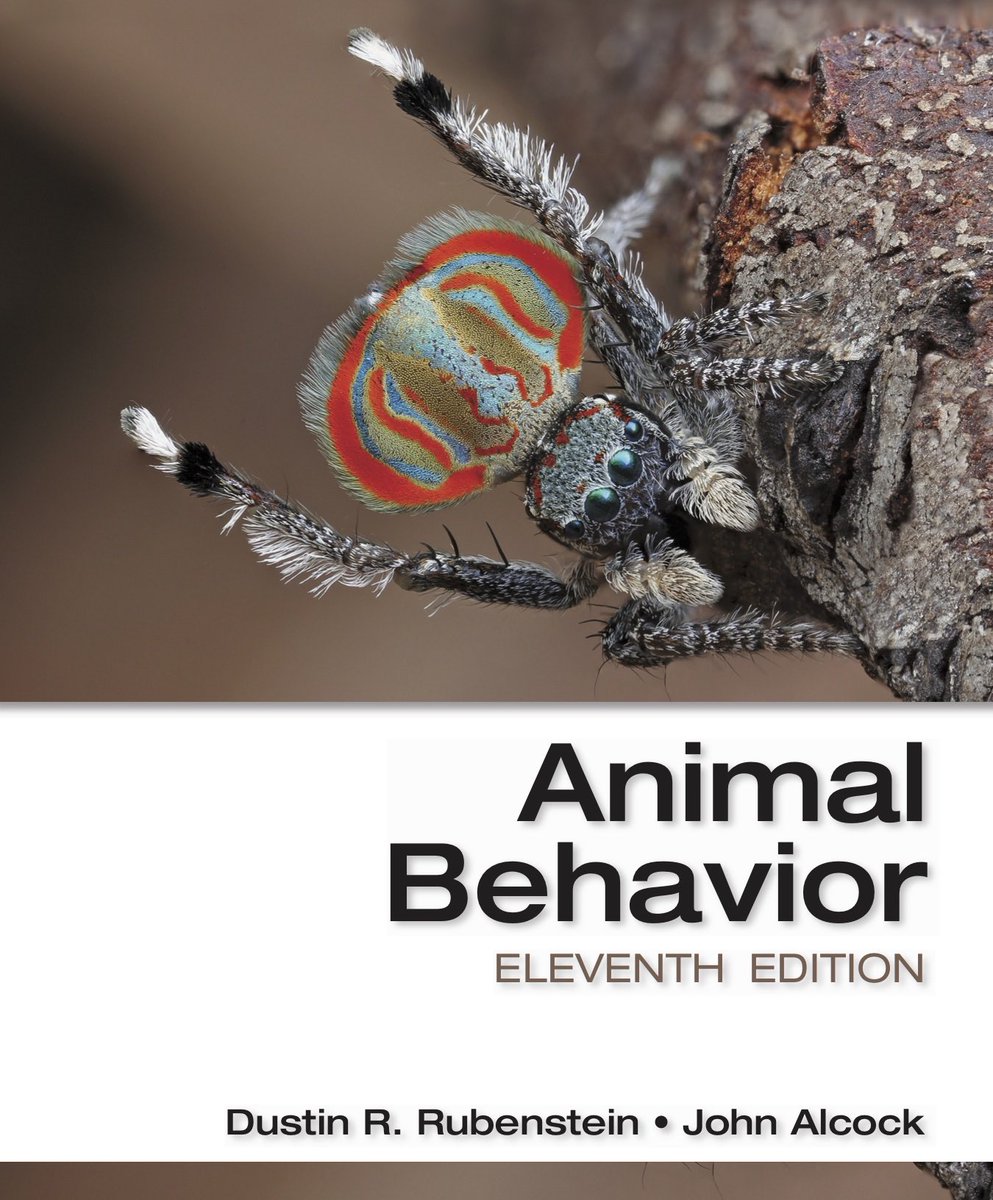 Dustin Rubenstein tweet media