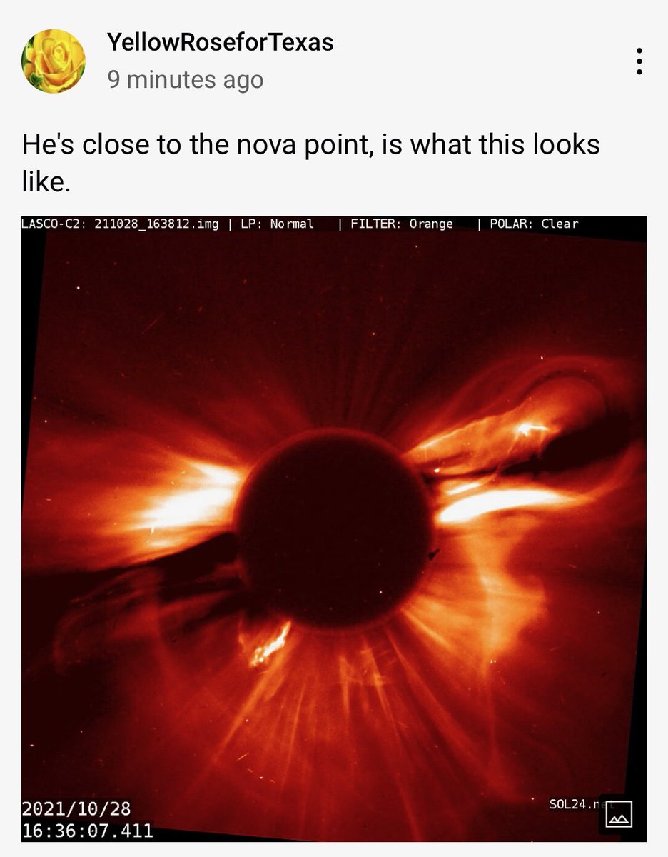 BrookeinSC's tweet image. #YRFT