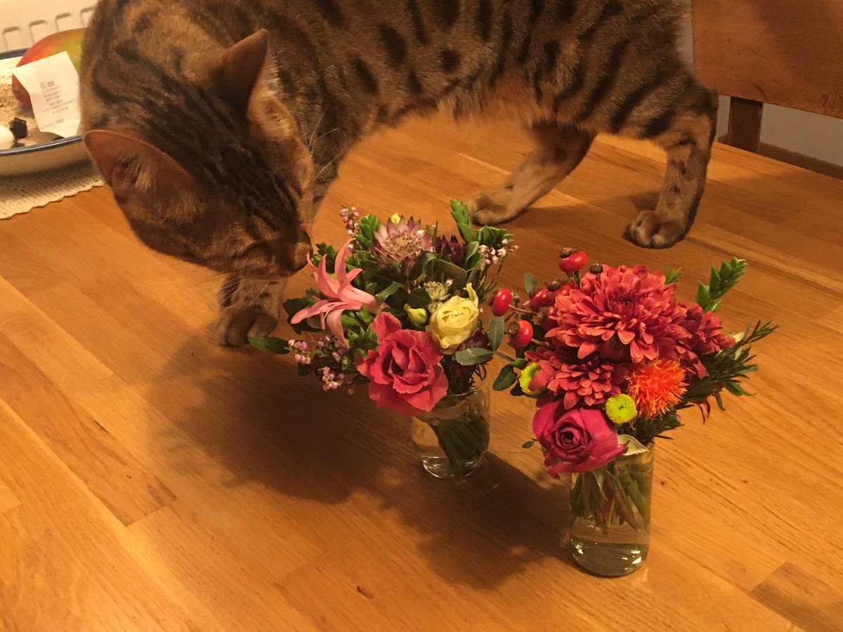 Christa Müller-Axt tweet media