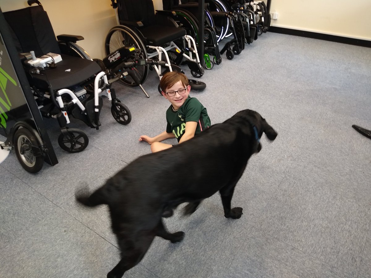 batgirl280's tweet photo. @grx_life Happy new wheelchair day. Thank you so much for making him smile again (and for the in-house dog cuddles while we waited) https://t.co/b5LirxpnTM