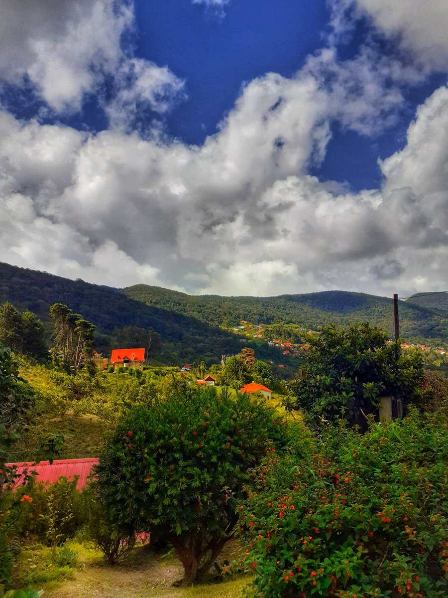 CTovar03's tweet photo. Paisajes majestuosos de la #coloniatovar #Venezuela #Alemania #pictures #Mountain #nature https://t.co/hQ30sZgnfg