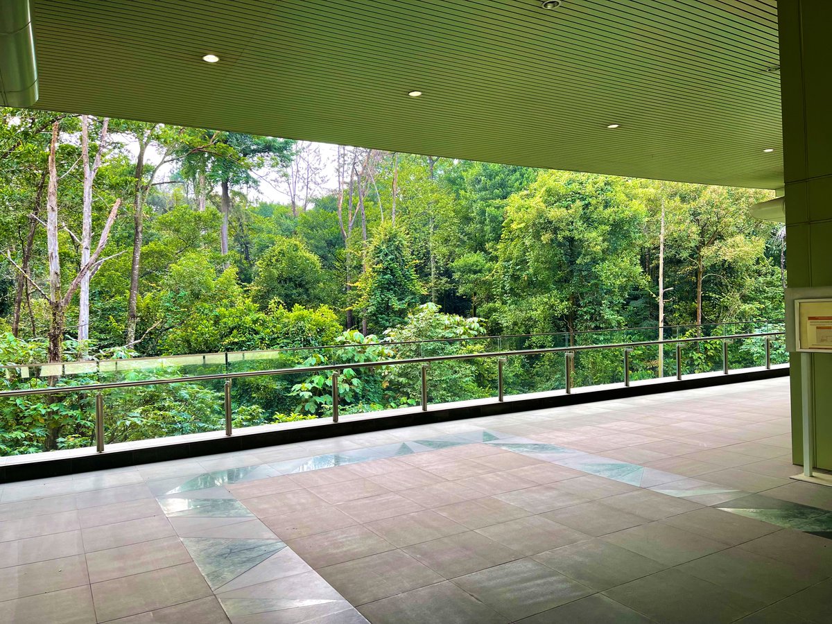 PointMHD's tweet photo. This MRT station is something else. https://t.co/7QKEfLES8G
