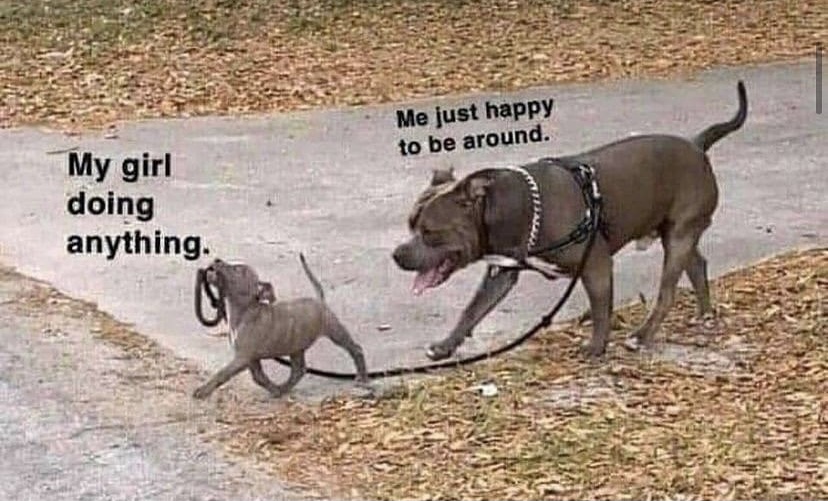 WholesomeMeme's tweet photo. https://t.co/XfJtDrFWP3