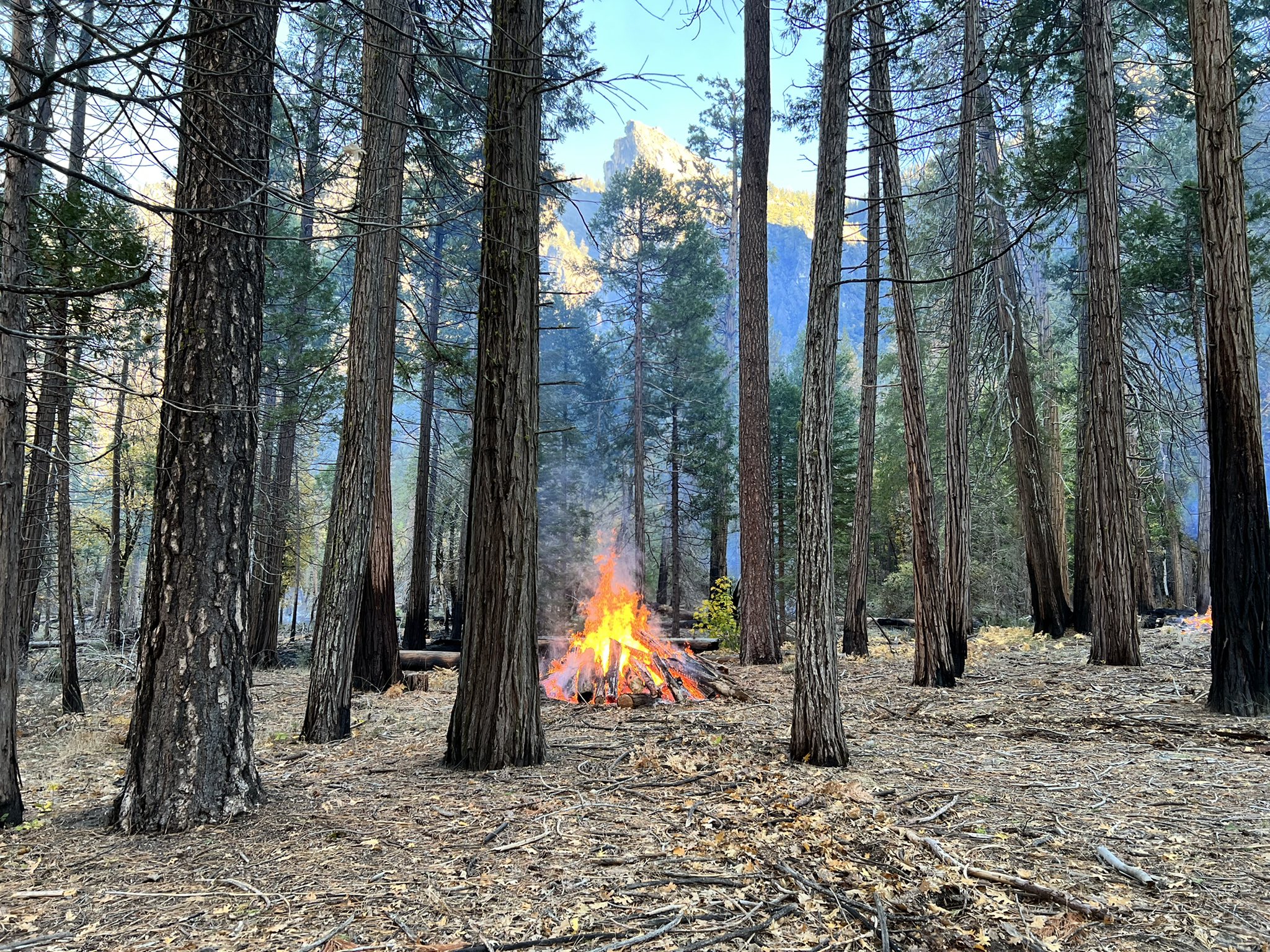 Yosemite Fire And Aviation Management Yosemitefire Twitter