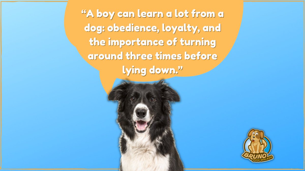 BrunoDogWalker's tweet photo. A boy can learn a lot from a dog: obedience, loyalty, and the importance of turning around three times before lying down.
#pets #petcare #doglife #doghealth #dogcleaning #dogfacts #doginfographics #factoftheday #dogcare #dog #dogsnyc #doglover #pet #petlovers #puppylove #puppy https://t.co/zDcZaIrAlR