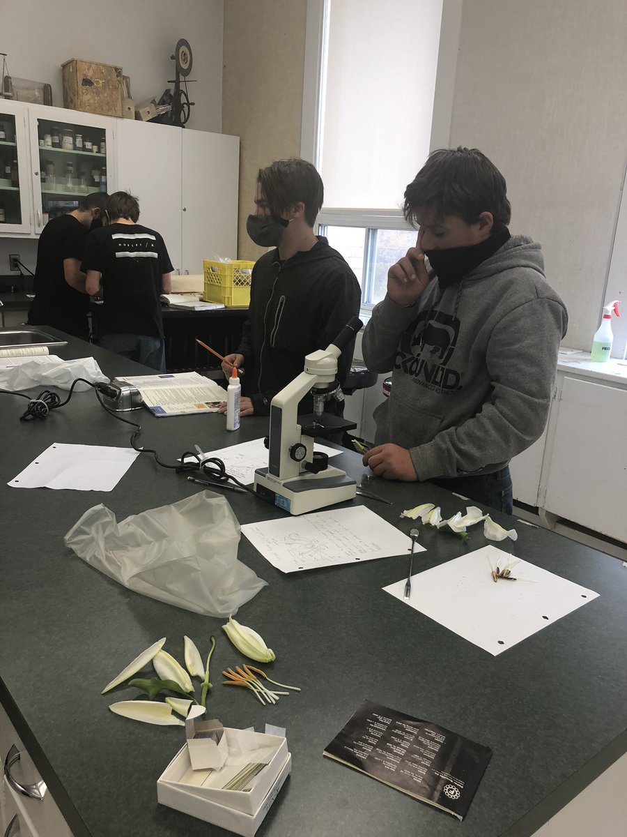 Round Hill School tweet media