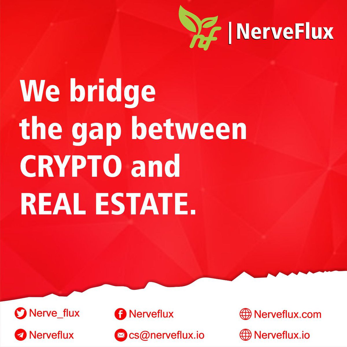 ChimpKingOfMem's tweet photo. #Nervetoken #Nerve #cryptocurrency #realEstate #realestatemarket https://t.co/XtI9RaZp7a