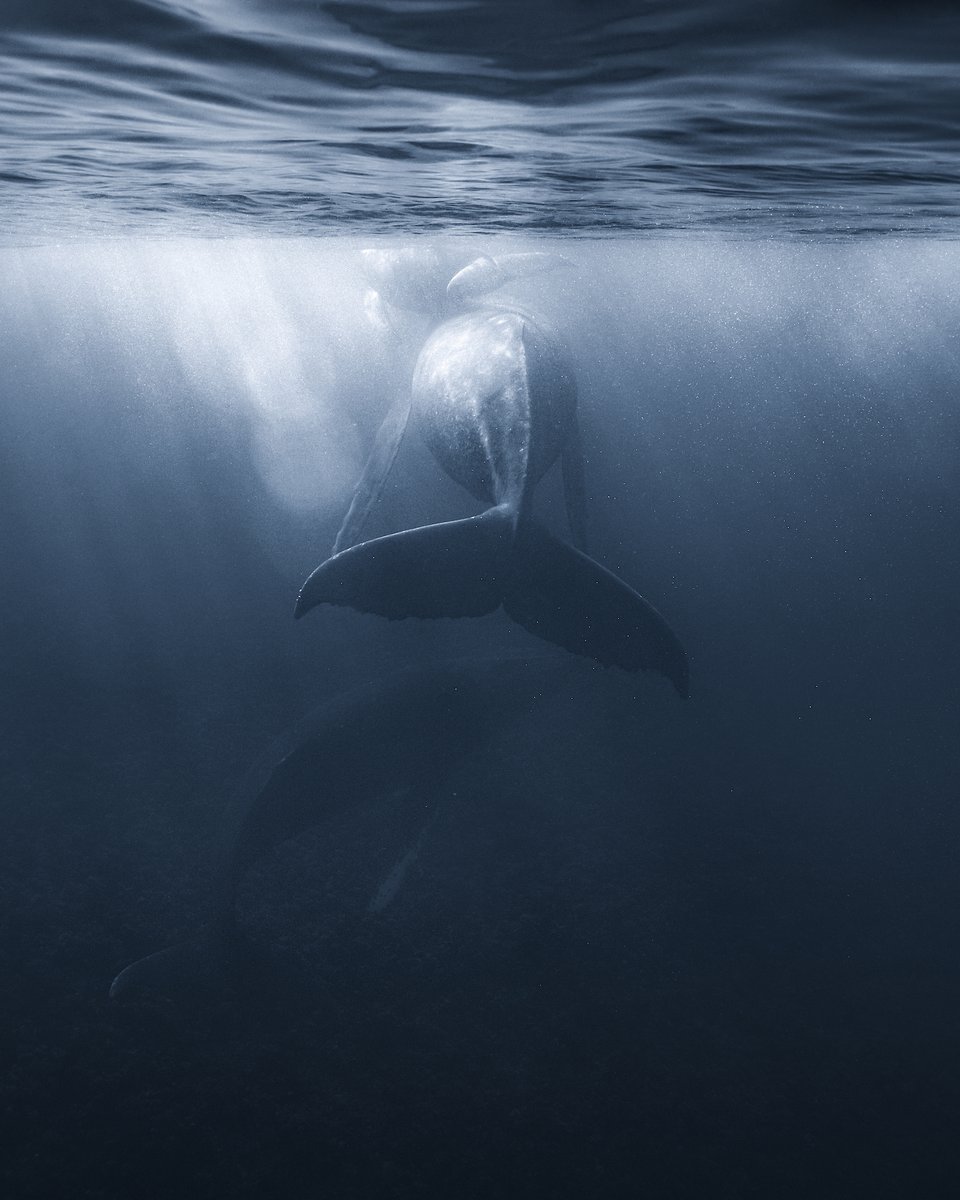 This is what I'm chasing in my dreams...