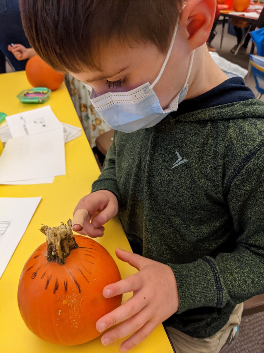 Thank you PTO for adding some sunshine to our week and bringing the field trip to #fullermeadow!  We loved picking pumpkins and using them for math and science investigations today!