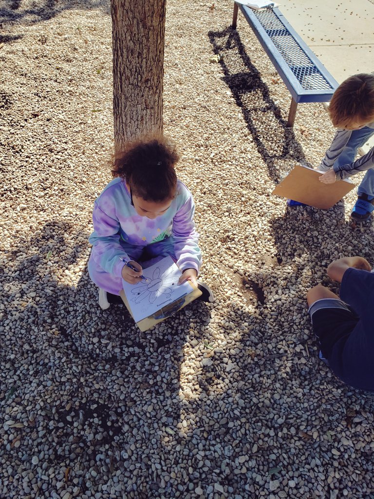 smithspride's tweet photo. Today we were using our depth and complexity details grapgic organizer in our surrounding to build the schema needed to visualize in our writing! #ecproud #pvlionpride https://t.co/q9ayKiHM1n