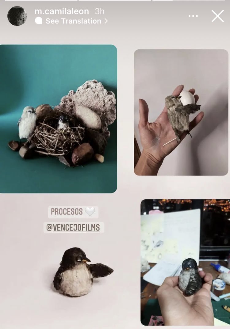 VencejoFilms's tweet photo. El detrás de cámaras!
#birdpuppet #animation #slowmotion https://t.co/ahRm2x87Px