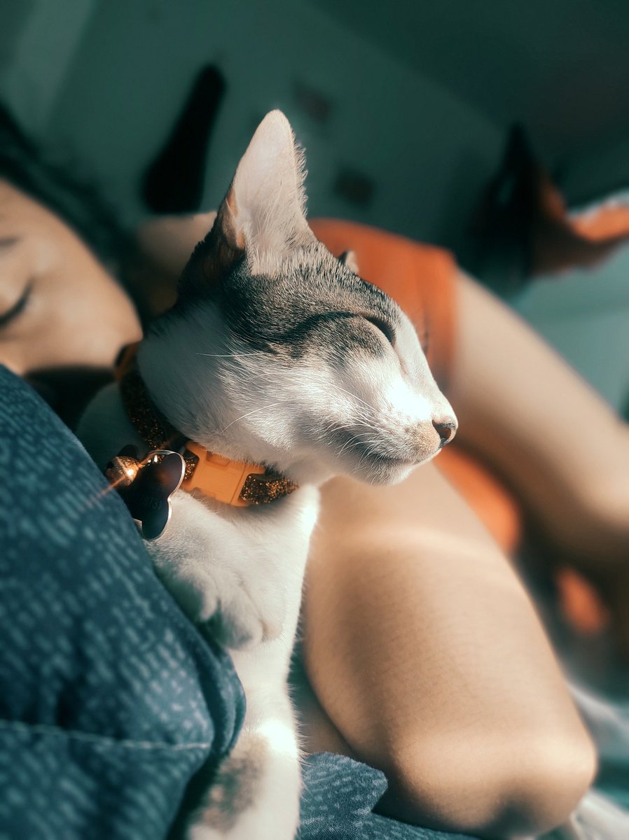 yanahyans's tweet photo. #MightyPepper ❤️ https://t.co/2ttqbI0FVr
