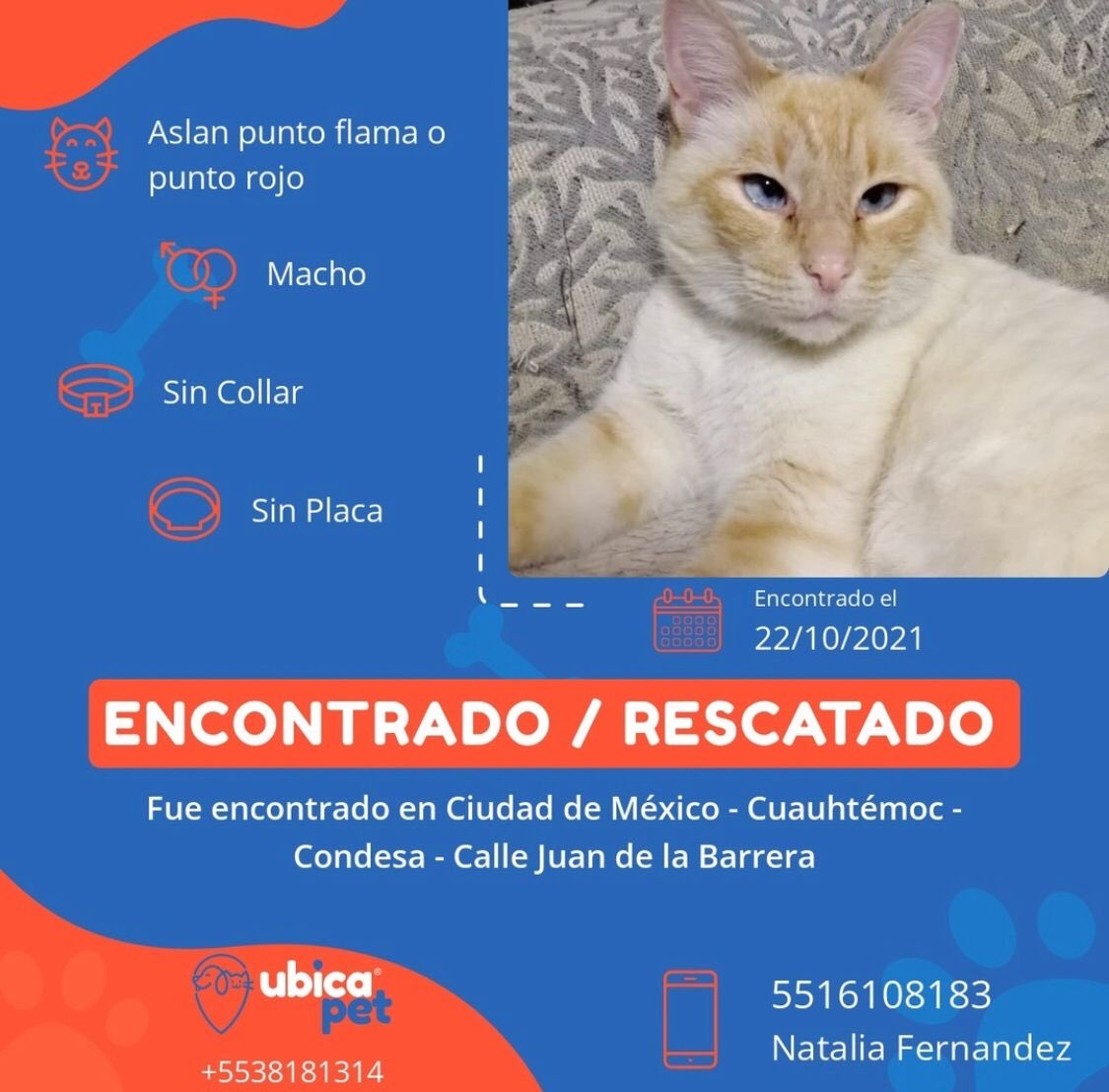 Comité Condesa ahora COPACO (@comitecondesa) on Twitter photo 