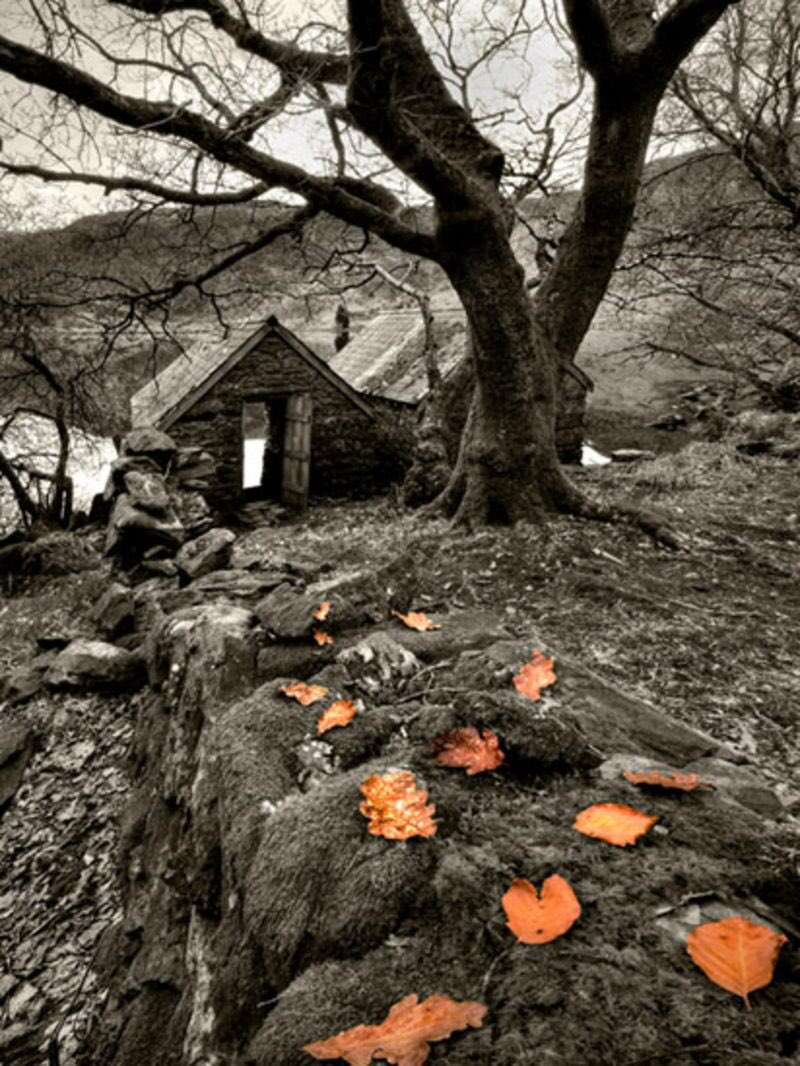 tly_gl's tweet photo. An old boat house at Llyn Dinas, Beddgelert, Gwynedd, as seen by Iwan Williams, from Llanrug. https://t.co/z2nZHJlowF