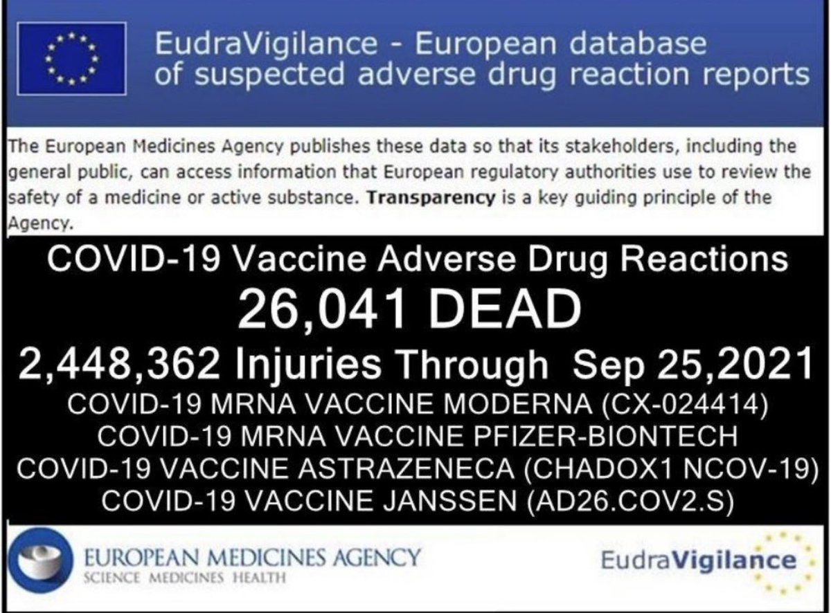 alwaysquestionX's tweet image. Tip of the iceberg

Over 26k deaths reported in Europe on EudraVigilance where only the Netherlands 🇳🇱 has a reasonable level of data submitted...

#HowManyMustDie

@MarkReady47 @RealJoelSmalley